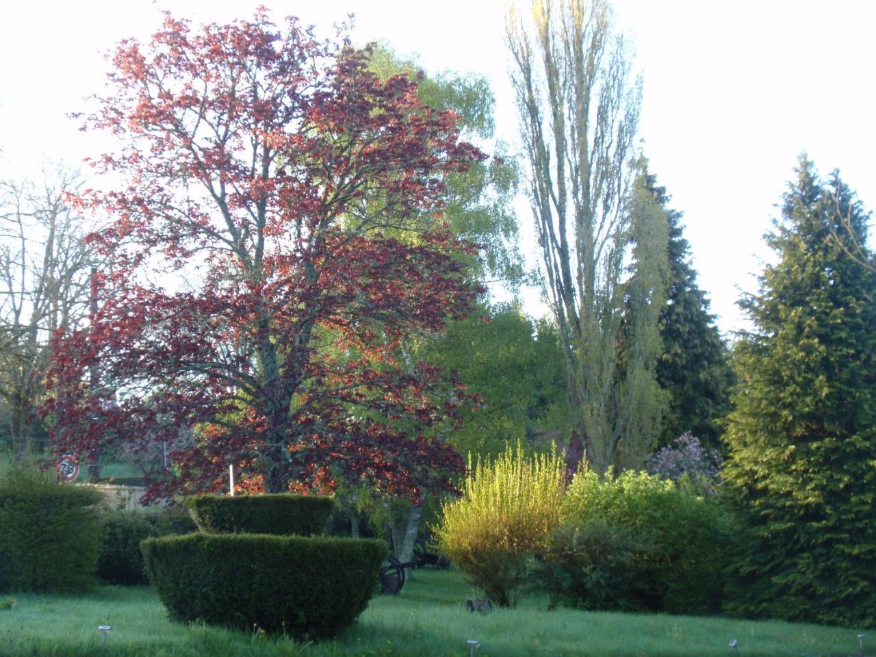 Domaine Des Pecheries Montel-de-Gelat Exterior foto